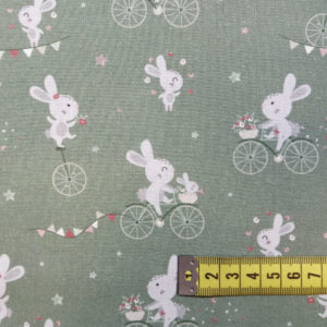 conejos-verde-bicicleta